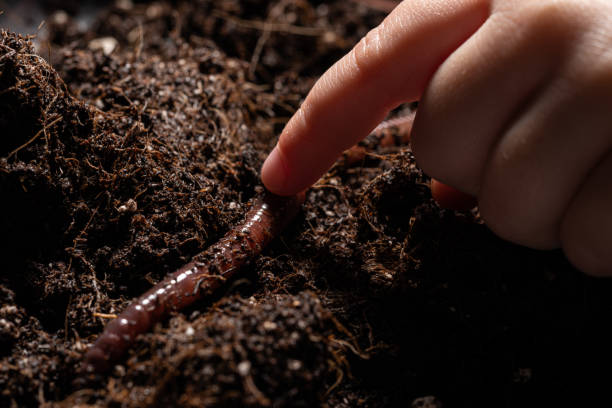 earthworm organic farming benifits