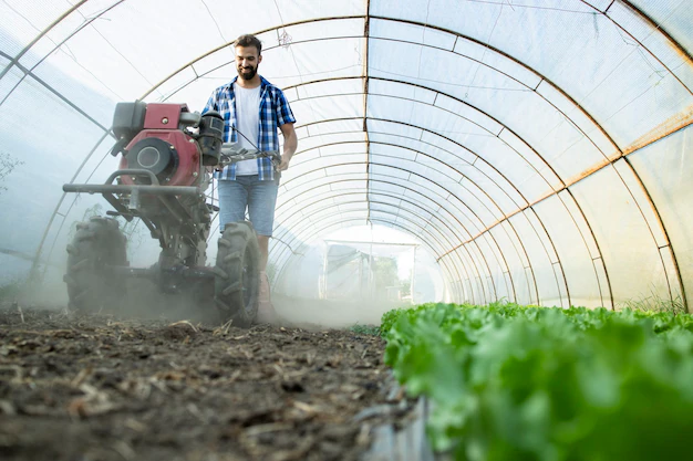 crop rotation