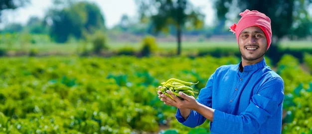 Challenges of Organic Farming