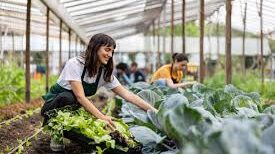 How Organic Farming is Revolutionizing Agriculture in 2025